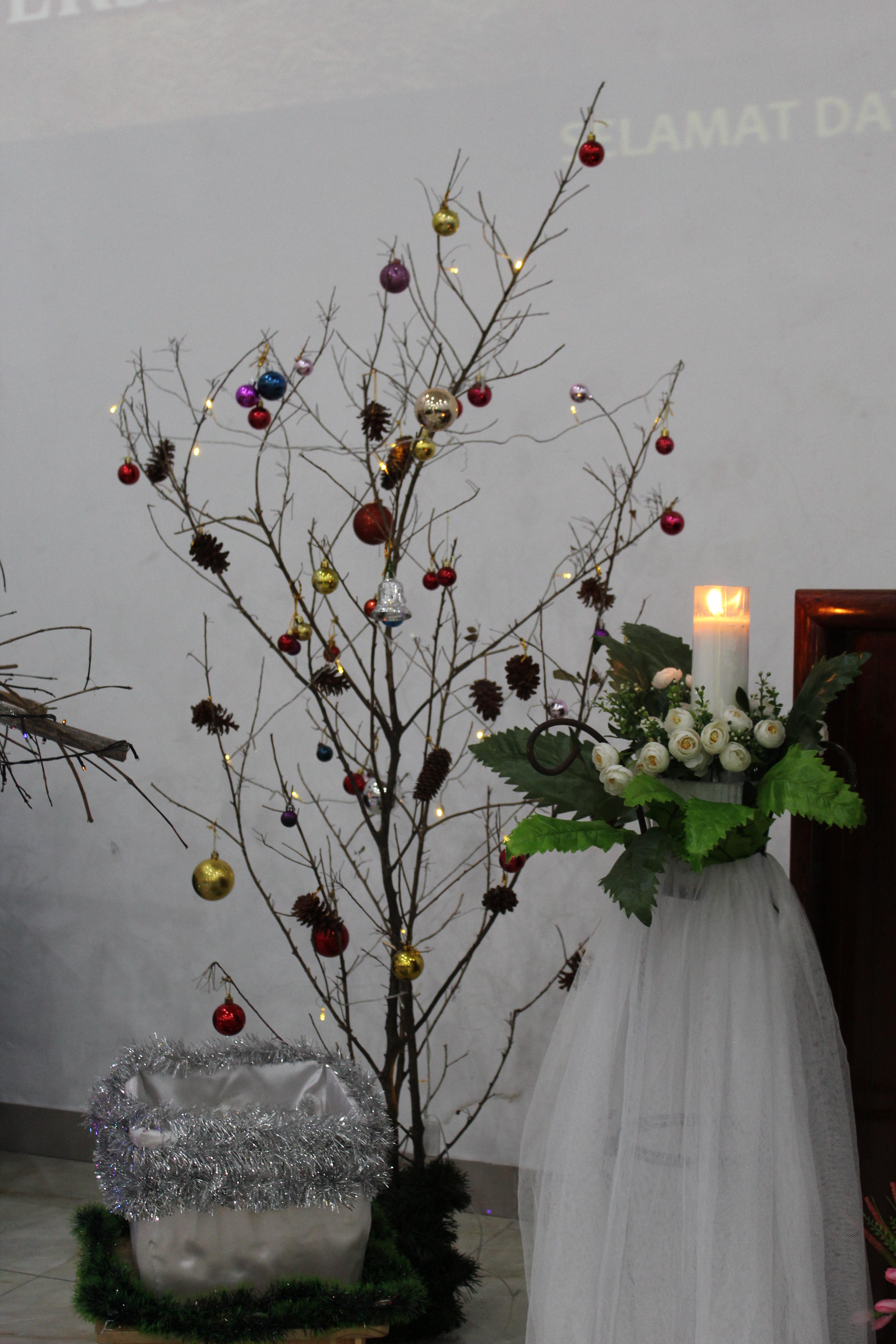 foto_683fac82ac99d5.89613367.jpg